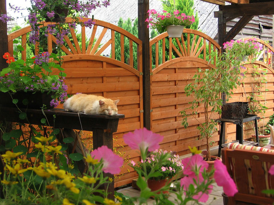 pose terrasse bois