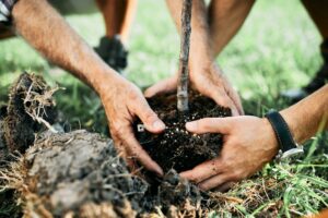 Choisir les bonnes plantes