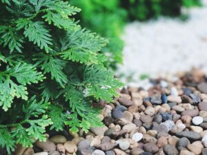 Choisir les bonnes pierre pour son jardin