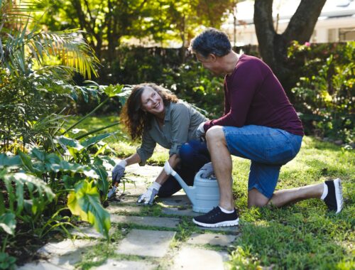 Conseils pour avoir un jardin avec peu d'entretien