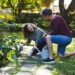 Conseils pour avoir un jardin avec peu d'entretien