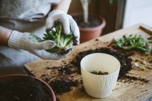 Ne pas négliger l'entretien du jardin