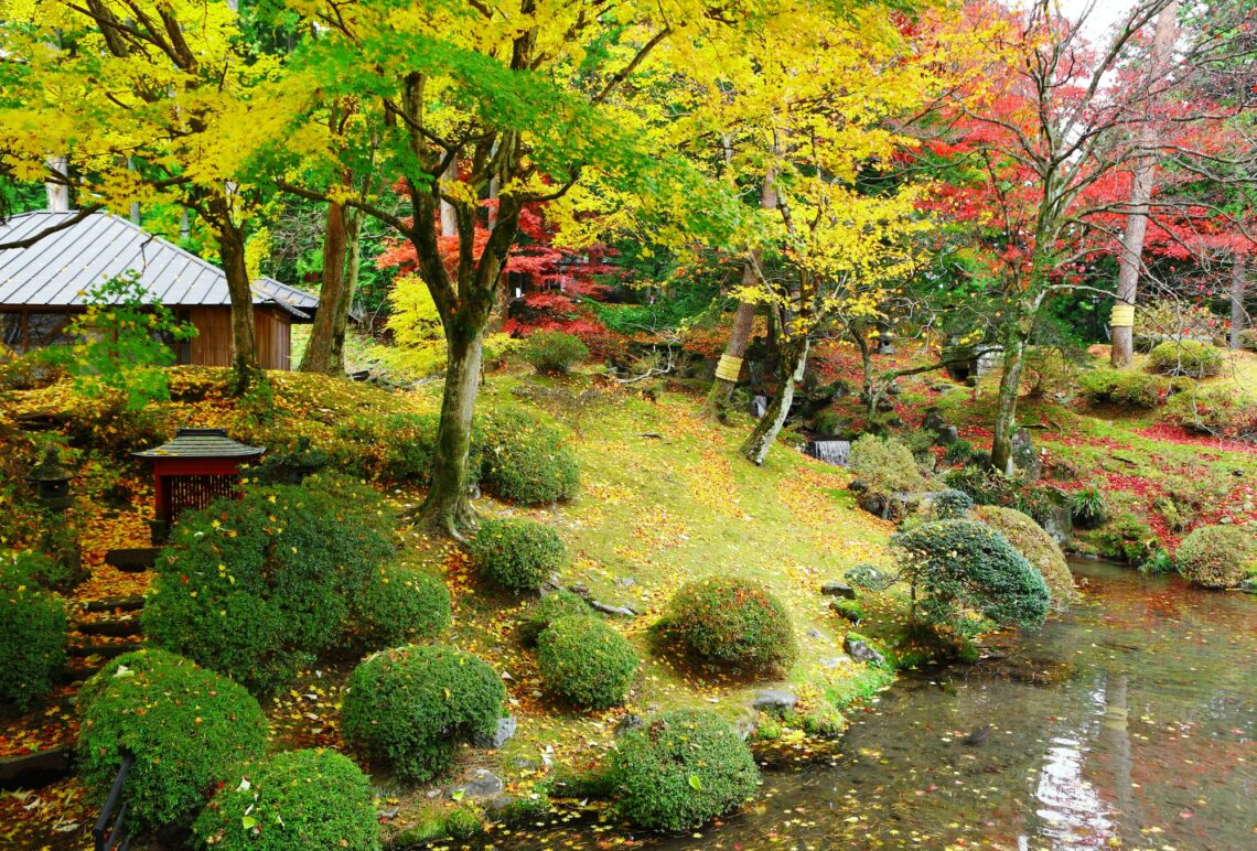 Jardin japonais