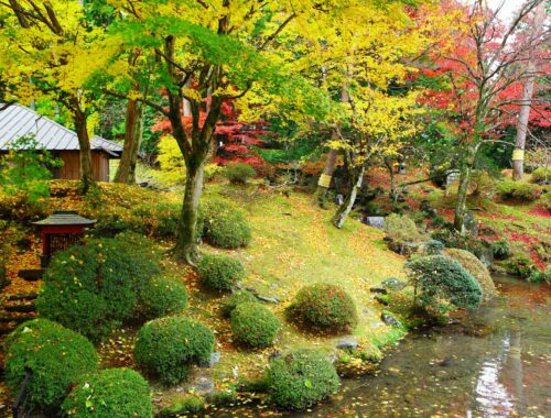 Jardin japonais