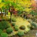 Jardin japonais