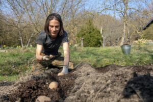 Bien organiser son jardin