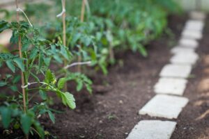 Bien choisir ses plantes pour la permaculture