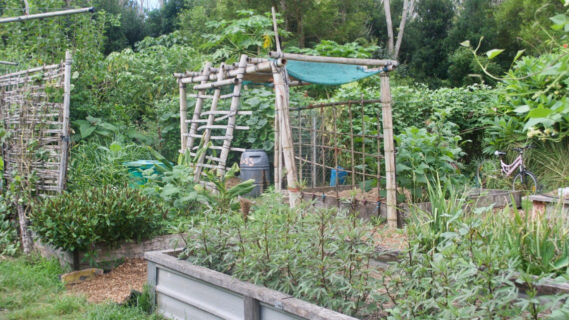 Principe de permaculture