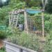 Principe de permaculture