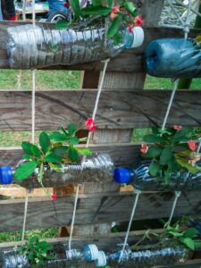 Créez votre jardin vertical !