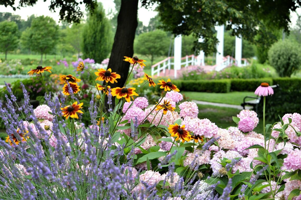 Un jardin fleuri toute l'année