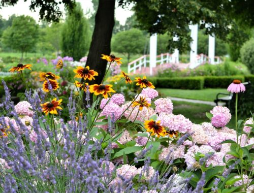 Un jardin fleuri toute l'année