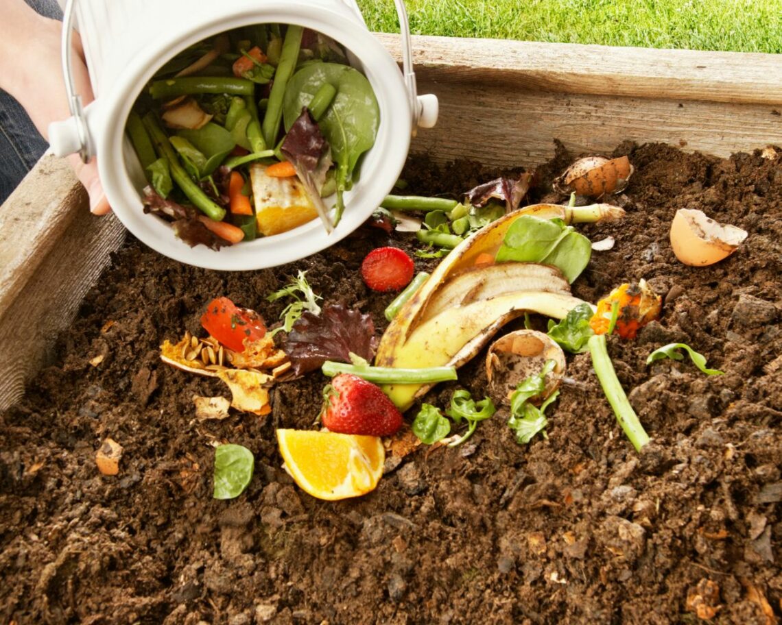 Le déchets compostables