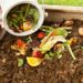 Le déchets compostables